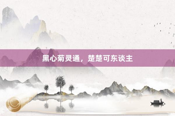 黑心菊灵通，楚楚可东谈主