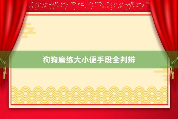 狗狗磨练大小便手段全判辨