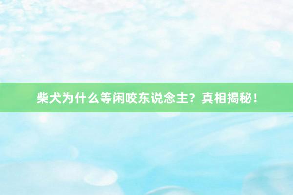柴犬为什么等闲咬东说念主？真相揭秘！
