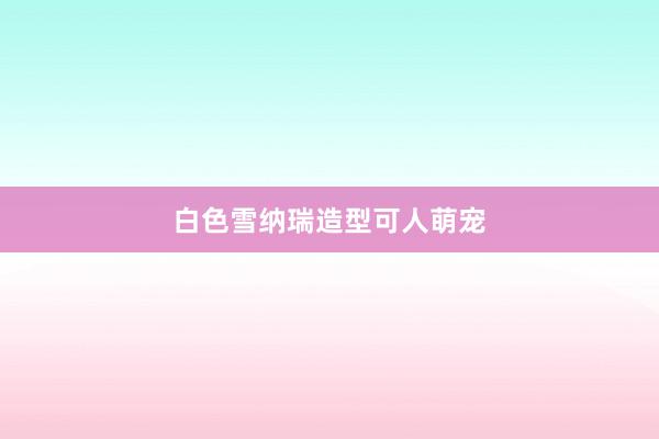 白色雪纳瑞造型可人萌宠